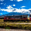 Chimborazo volcano at urbina paramo